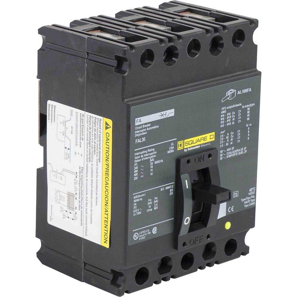 INT TM 20 AMP SCHNEIDER FAL36025