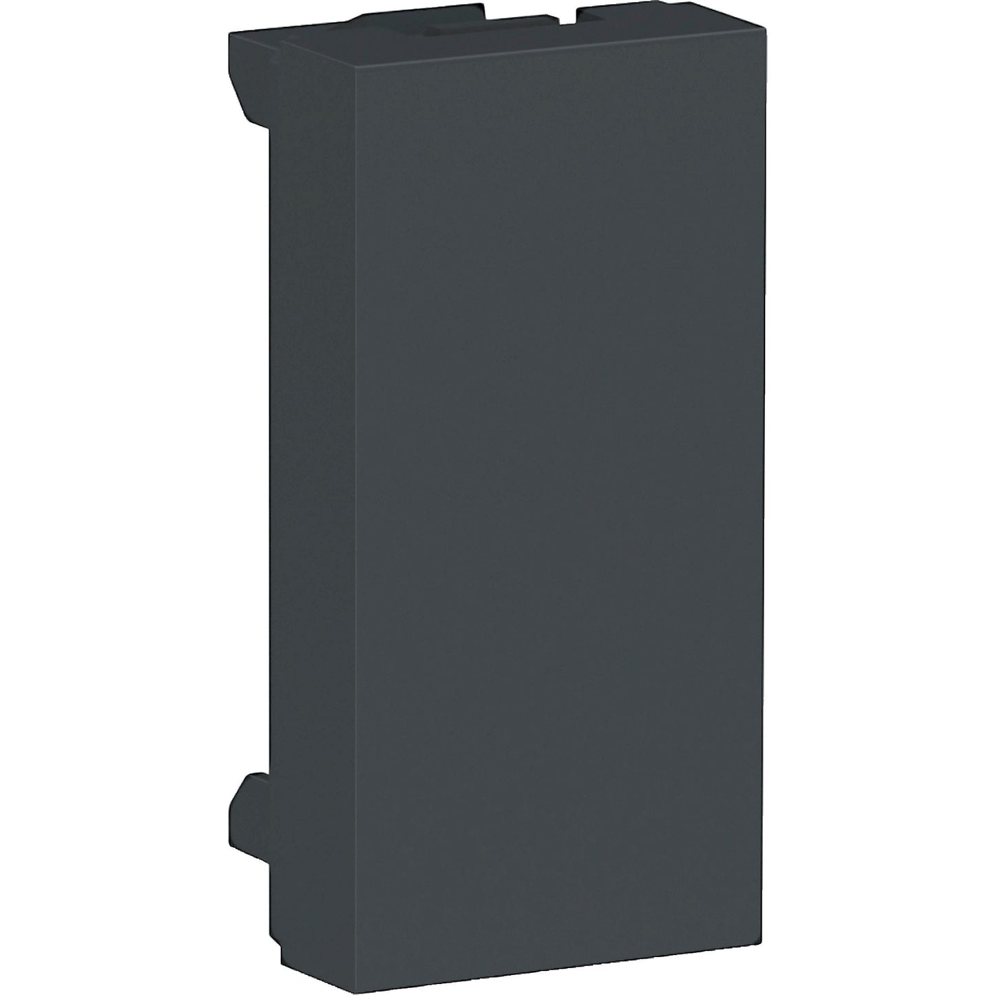 MOD CIEGO 1M GR 2PZS Schneider S70866194 Tienda EEGSA