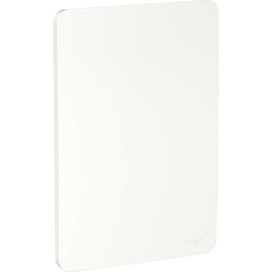 PLACA 4X2 CIEGA BLA Schneider S735100004